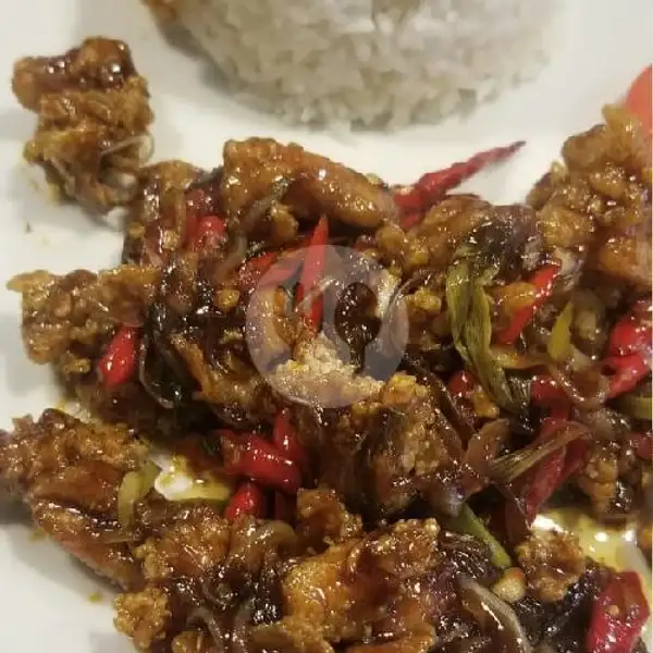 Nasi Ayam Kecap Inggris | Asimo Cafe, Raden Intan