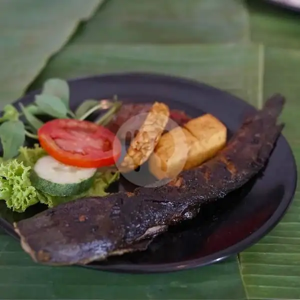 Lele Jalom | JALOM (Makanan Khas Lombok), Palm Spring