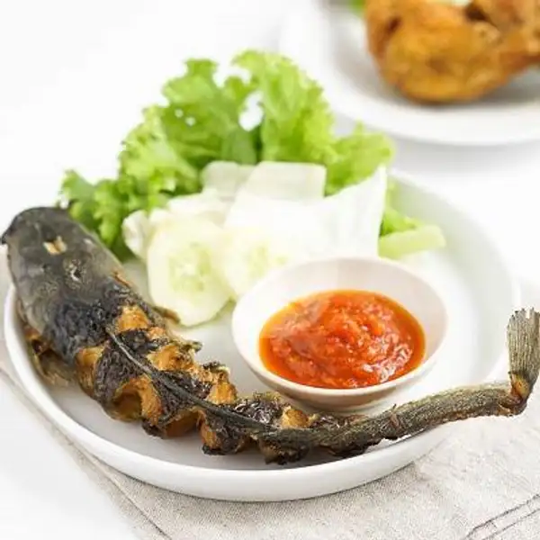 Lele Goreng | Single Borobudur Chinese Food & Seafood, Teuku Umar