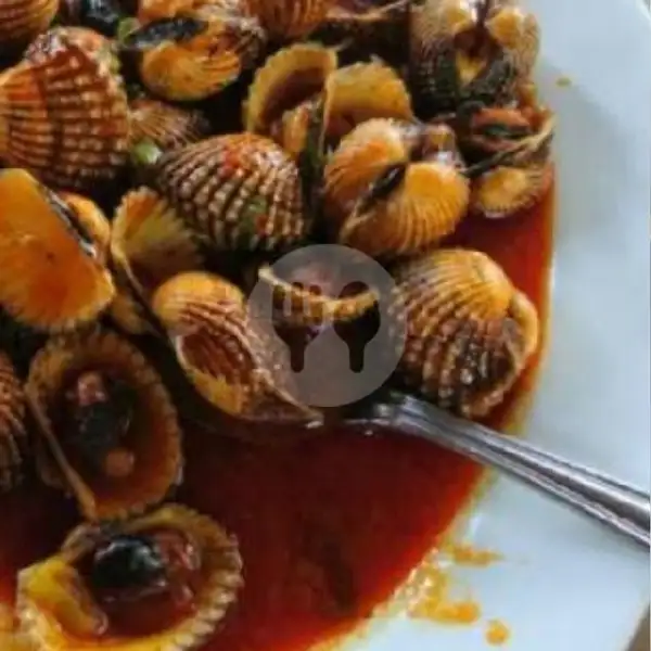 Kerang Dara Saos Black Papeer, , | Seafood Aca 48, Daan Mogot