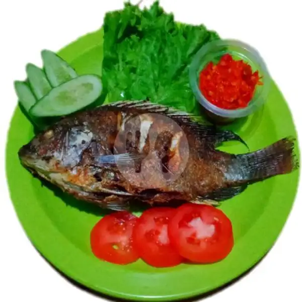 Ikan  Nila Bakar  BBQ | Gurame & Ayam Bakar Khalif, Ciputat Timur