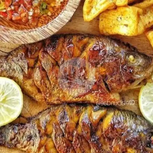 Ikan NITA | Pecel Ayam & Lele Uwa Nining, Rawajati Timur 3