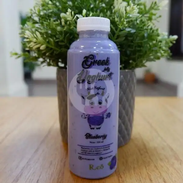 Yoghurt Blueberry | R.Corporation