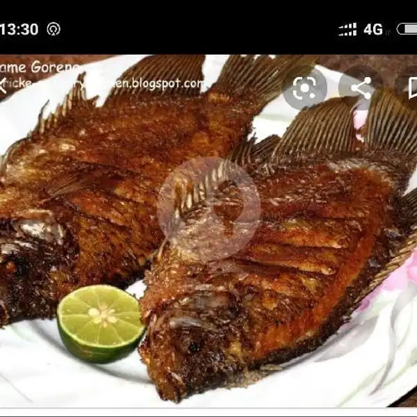 Paket Gurame Sedang Goreng | Ikan Bakar Marjenggo