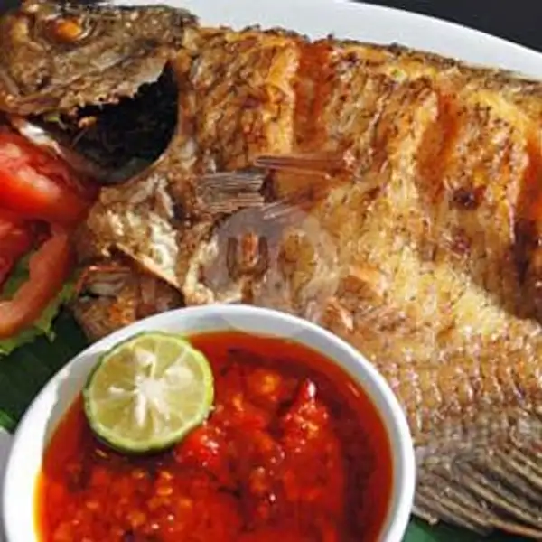 Ikan Mas Goreng/bakar | Burger & Roti Bakar Bening, H. Sulaeman