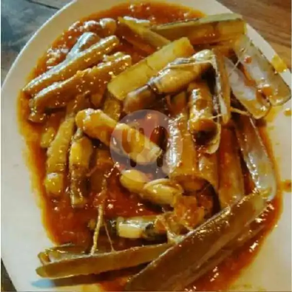 Kerang BAMBU Saos Padang | Seafood 88