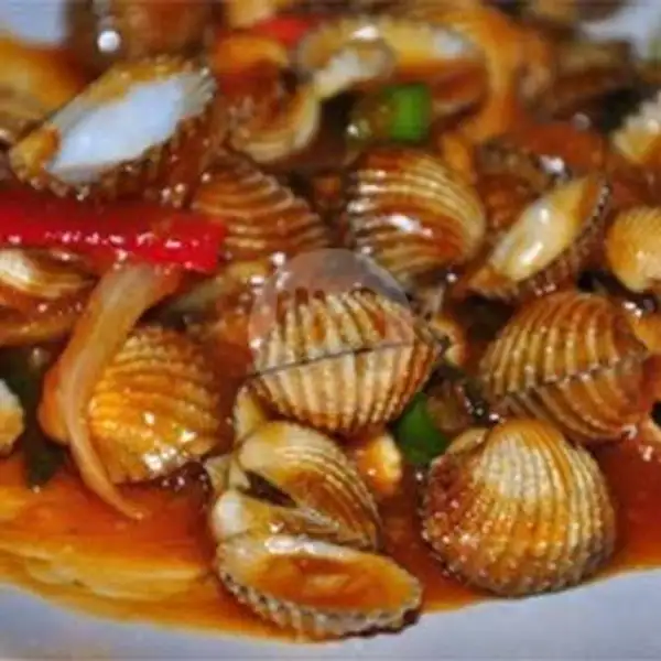 Kerang Dara Saos Balado | Kerang Seafood Idola, Keputih