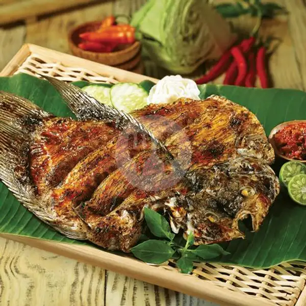 Gurami Bakar | Krabe Seafood, Gajahmada