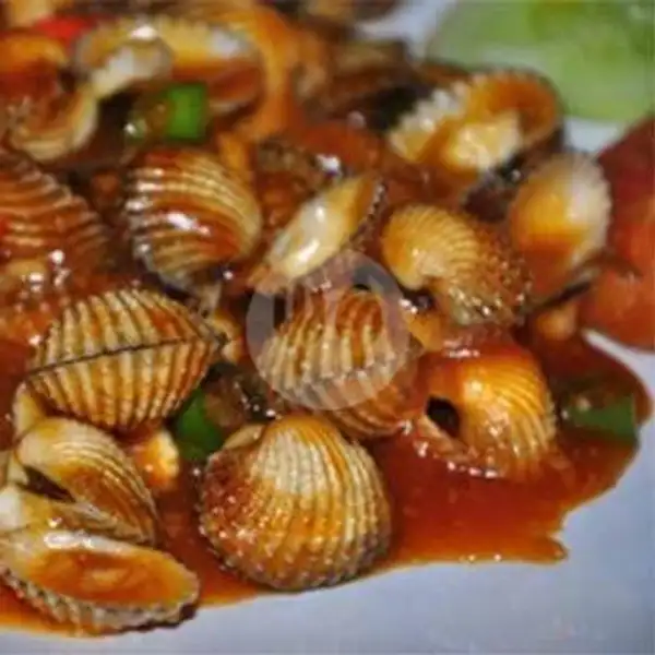 Kerang Dara Saos Tiram | Seafood Nasi Uduk 28, Pamulang