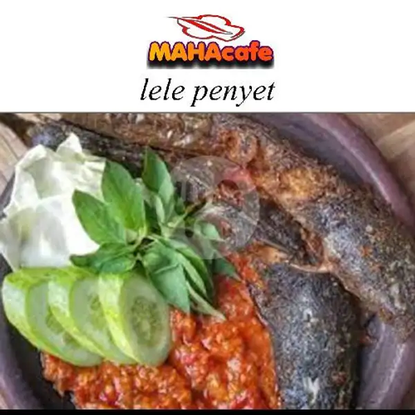 Lele Penyet | Maha Cafe, Mulyorejo