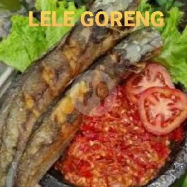Lele Goreng (LAUK PAUK) | BAKSO MERCON 99, Depan Kolam Renang