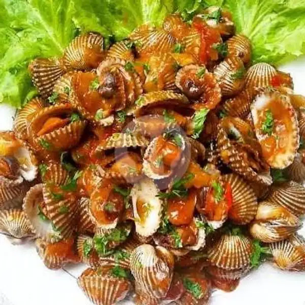 Kerang Saus Padang | Seafood 32 Libra
