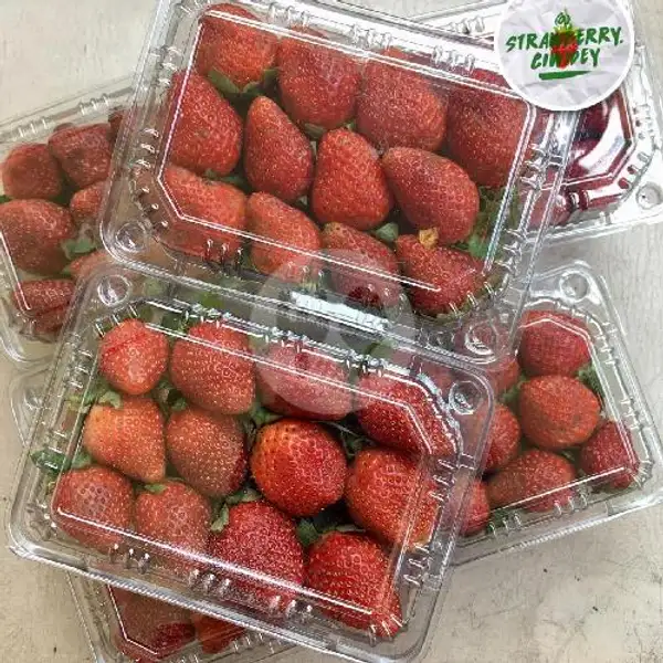 Strawberry Fresh Kellybright Pack Mika Premium | Supplier Strawberry Ciwidey, Rusunawa Cibeureum