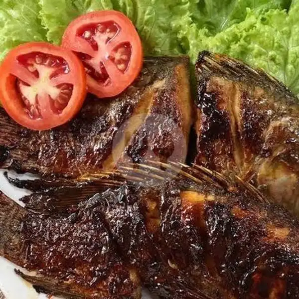 Ikan Nila Bakar | Sate Ayam Dan Sate Kambing Anugrah, Serpong Utara