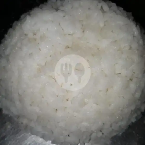 Nasi Putih | Gudeg Kering Wijilan RK, Nitikan