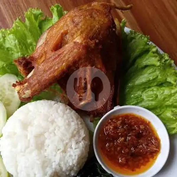 Bebek Goreng Jumbo + Nasi | Gudeg, Ayam, & Bebek Follback, Pramuka