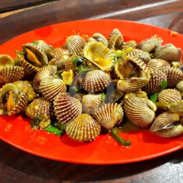 Kerang Dara Goreng Saus Tiram | Seafood Khayla Jaya