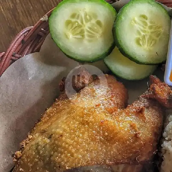Ayam Kalasan Penyet | Ayam Kemangi Rica, Ahmad Yani Utara