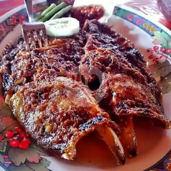 Kerapu Bakar Medium Up ( 4ons ) | Ikan Bakar Khas Jimbaran & Nasi Tempong Khas Banyuwangi