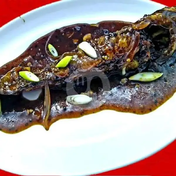 Lele Lada Hitam | Seafood AA, Pahoman