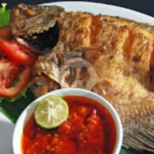 Gurami Goreng | Bintang Seafood (Seafood & Kerang), Ngesrep Timur