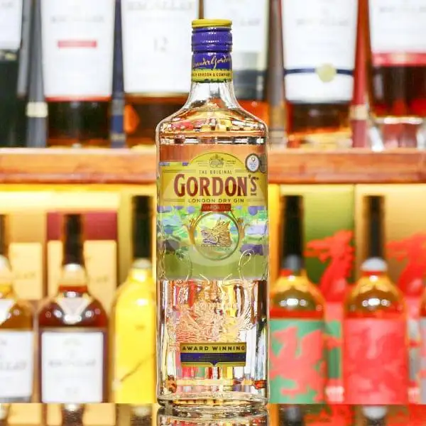 Gordon Dry Gin 75Cl/750Ml - Import | Beer Terrace Cafe & Soju, Bir Pasirkaliki