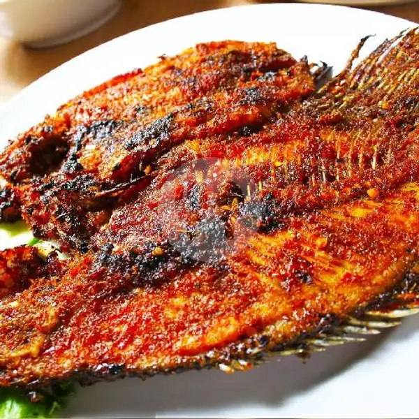 Gurame Bakar Original | Ikan Bakar Big Size, Cipondoh