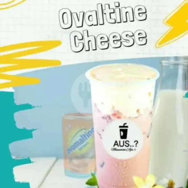 Ovaltine Swiss Cheese | Aus, Pengasinan