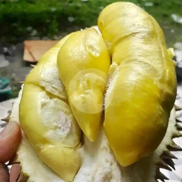 Jus  Durian ABC Groups | Juice Blumun, Rawabendungan