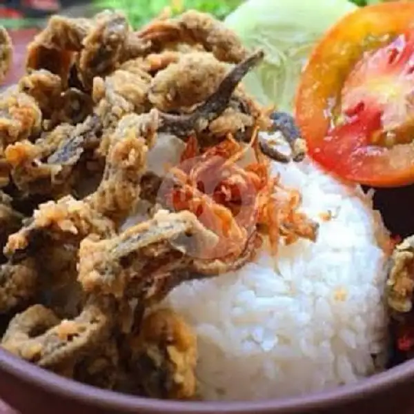 Belut Goreng + Nasi + Air  Gelas | Warung Azril (Bebek Sinjay), Klojen