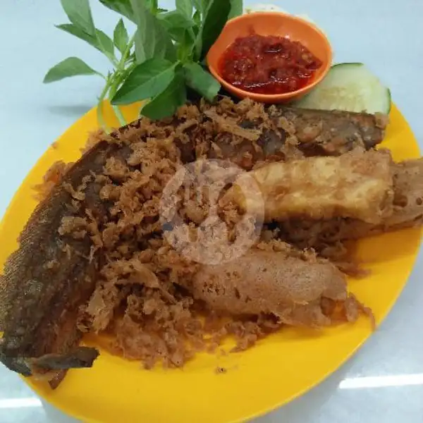 Lele Goreng Kriuk + Nasi | Ayam penyet kriuk, Dunia Foodcourt