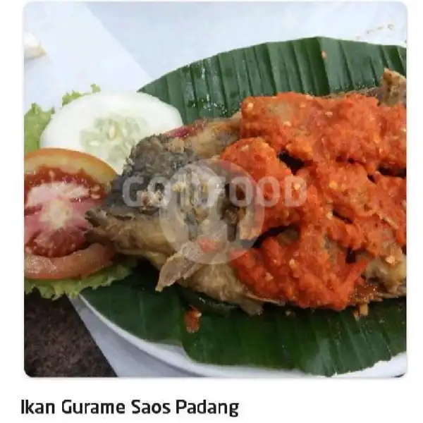 Ikan Gurame Saos Padang | Ayam Penyet Jakarta, Dr Mansyur