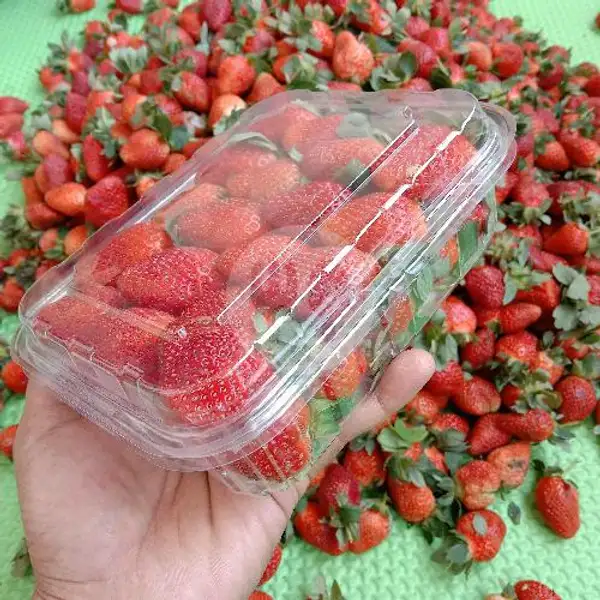 Strawberry Fresh Mika Premium 500 Gram | Supplier Strawberry Ciwidey, Rusunawa Cibeureum