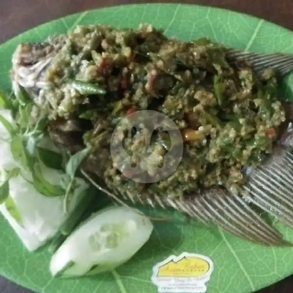 Gurami Goreng Jeletot Size ( 4.Ons/400gram) | Ayam Bakar Kobong Banyuwangi,Ubud