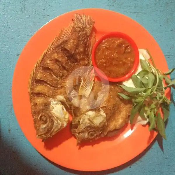 Ikan Nila Goreng | Pecel Lele Arto Moro, Aster Indah 5