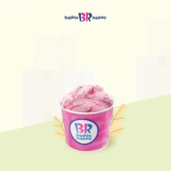 Pint - Fresh Pack | Baskin Robbins, BCS