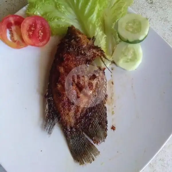 Nasi + Gurami Bakar Madu Kecil | Seafood 88