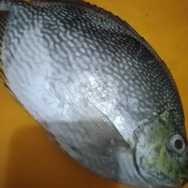 Ikan Baronang  Besar 7 Ons Bakar Madu Rica | Ikan Bakar Madu Rica Redjo Agung, Tegalsari