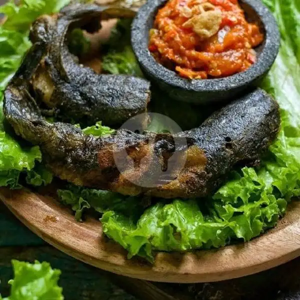 Nasi Timbel Lele Komplit + Es Teh Manis | Ayam Penyet Dan Ikan Bakar Cafe Oren, Kebon Kacang