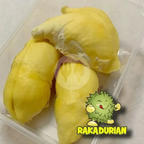 DURIAN MONTONG SINGARAJA | Raka Durian, Cilodong