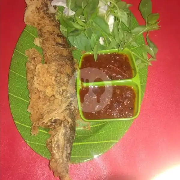 Lele Goreng Kremes | Riana Jaya Sea Food 18 Ayam Kremes, Lingkar Utara
