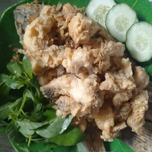 GURAME  3,5 Ons FILED GORENG TEPUNG TANPA NASI | Alvina Seafood Khas Semarang, Bukit Kecil