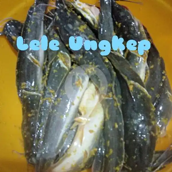 Lele Ungkep + Sambal Bawang | Sambel Jebleh Abank Alil, Karang Tengah