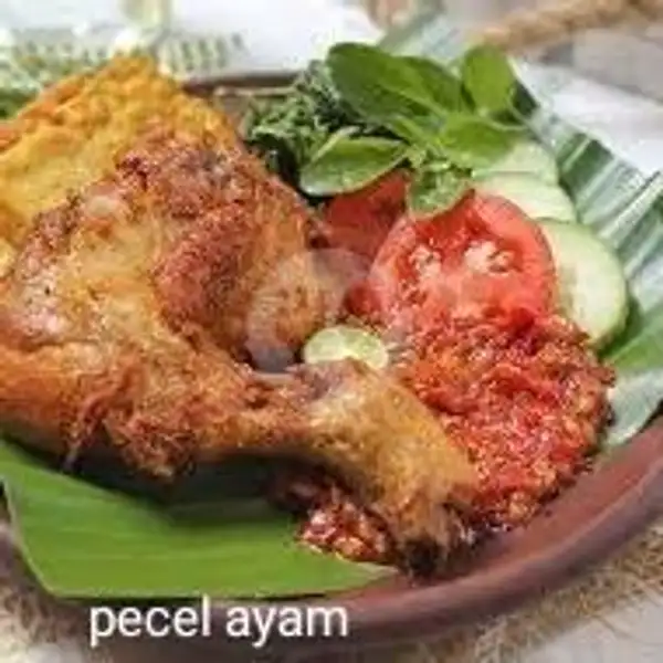 Ayam Penyet Lamongan Jumbo | Warung Mama Citra Kota Tegal, Margadana