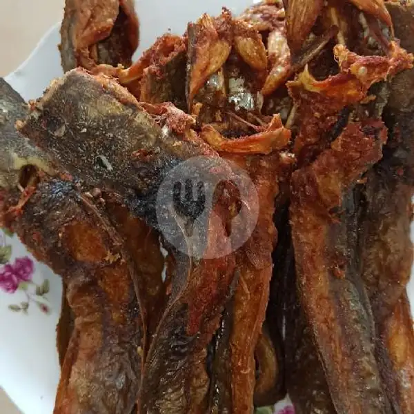 Ikan Lele Goreng | RM Mata Jaya, Bambang Utoyo