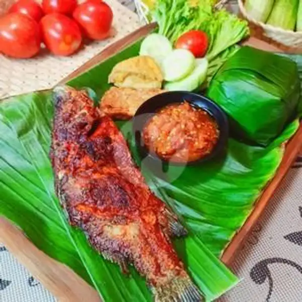 Kakap Bakar Lalapan | Ayam Bakar Dan Ikan Bakar Selera Nusantara, Dapur Nusantara