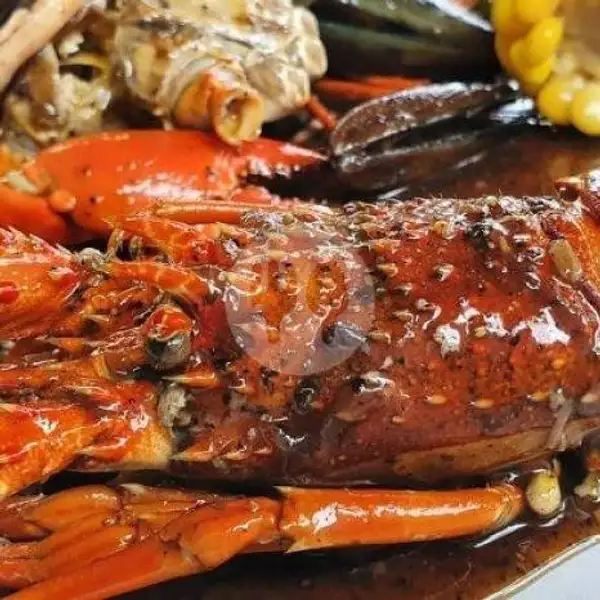 Lobster Besar Rica Rica | Seafood Kedai Om Chan Kerang, Kepiting & Lobster, Mie & Nasi, Jl.Nyai A.Dahlan