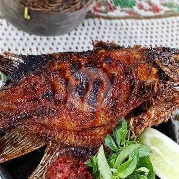 Ikan Bakar + Nasi + Es Teh | Lalapan Seafood Ayam dan Ikan Bakar Selera Kita, WR. Supratman