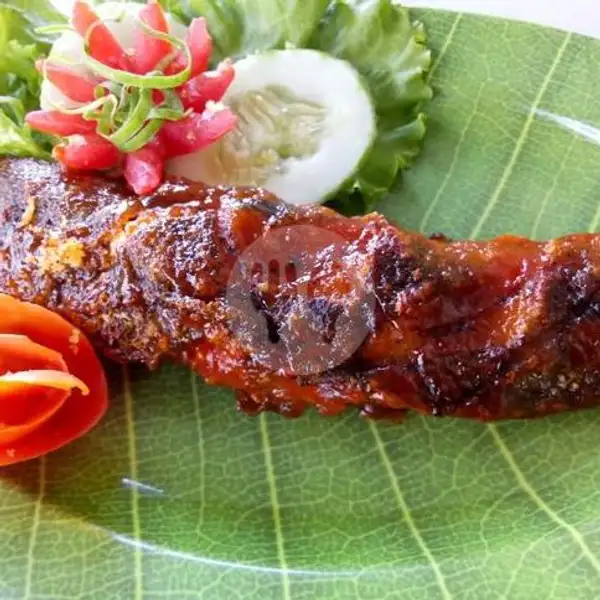 Lele Amburadul | Ayam Kaget, Senapelan