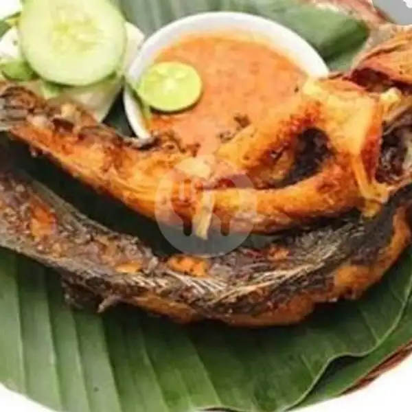 Paket Hemat Lele Goreng | Ayam Gobrek Zaky, Bukit Kecil